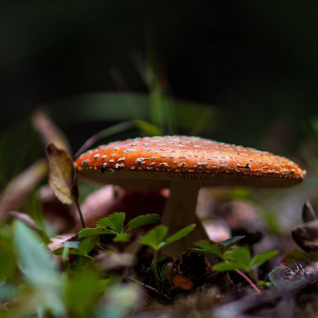 August 20, 2017 at 04:35PM dracophoto.com/august-20-2017…