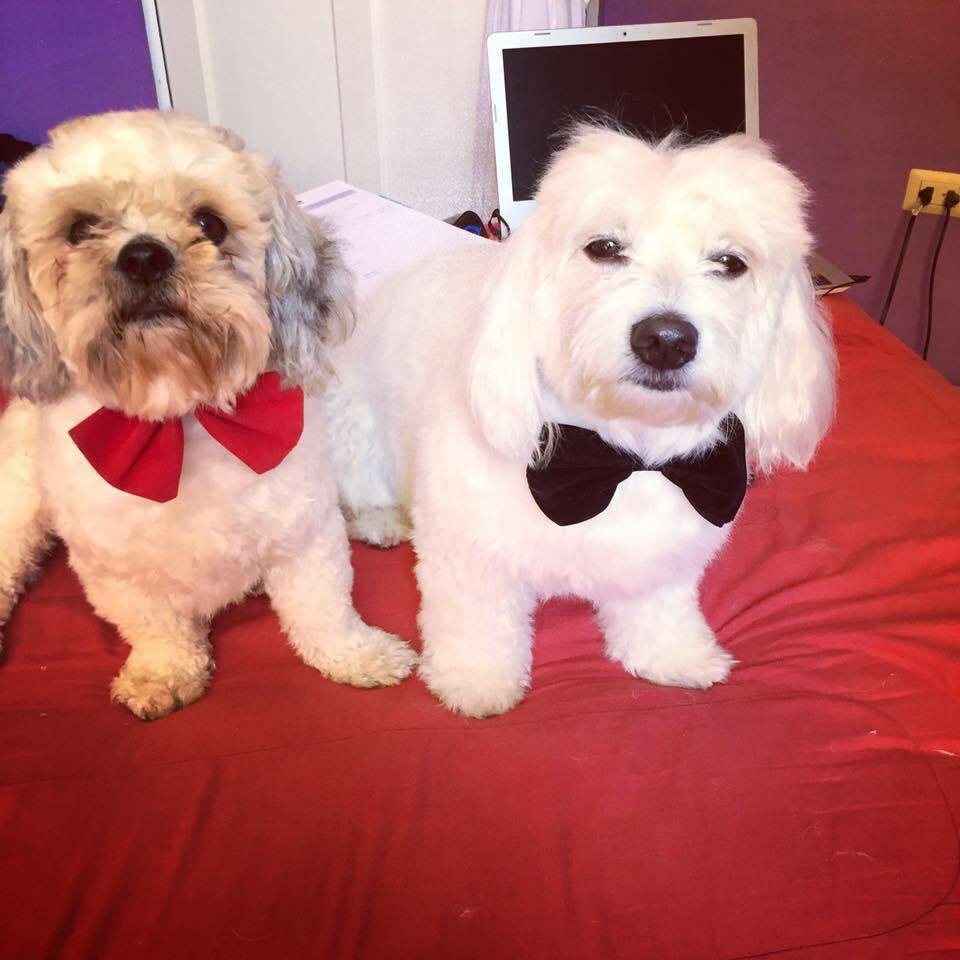 PeggyCubas's tweet photo. Mis dos amores😀 https://t.co/phuDXVxtjM