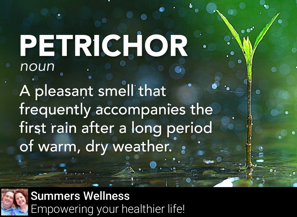 SummersWeIIness's tweet image. What’s your favorite (non popular) smell?