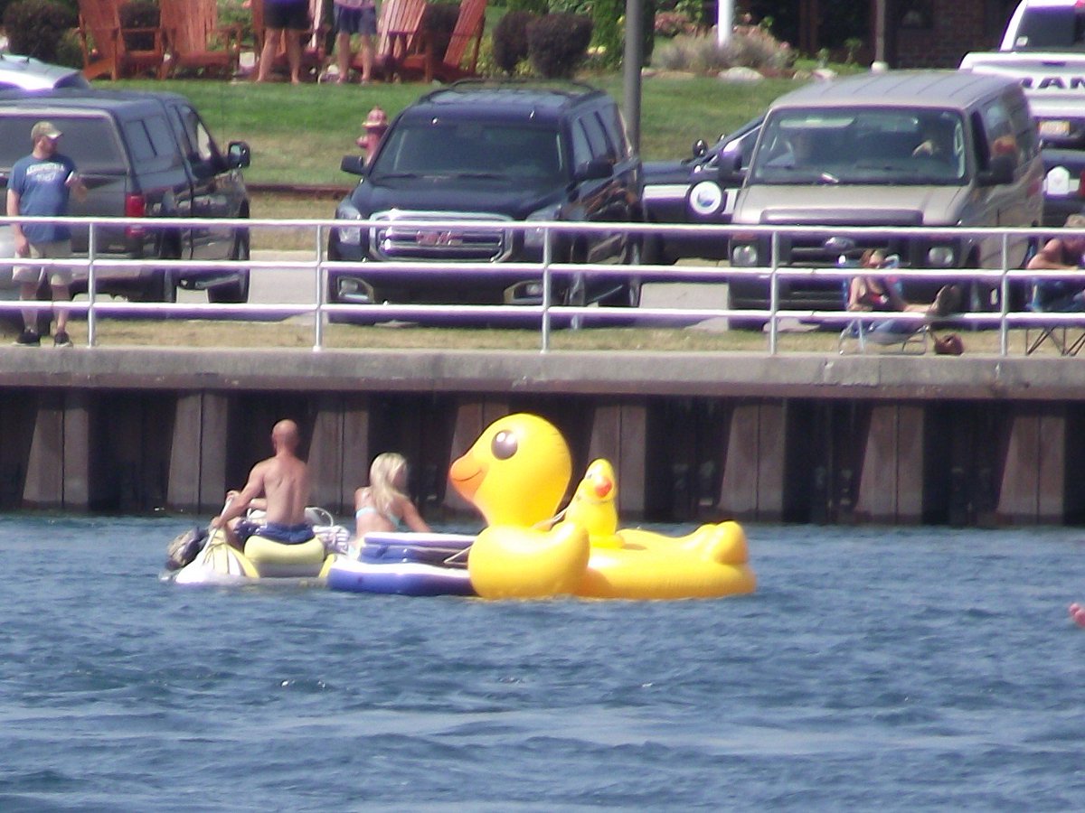 dodgetech02's tweet photo. @AM980News This duck worth much less than 250,000. Walmart $49.99 #PortHuronfloatdown https://t.co/6d80k0Eo42