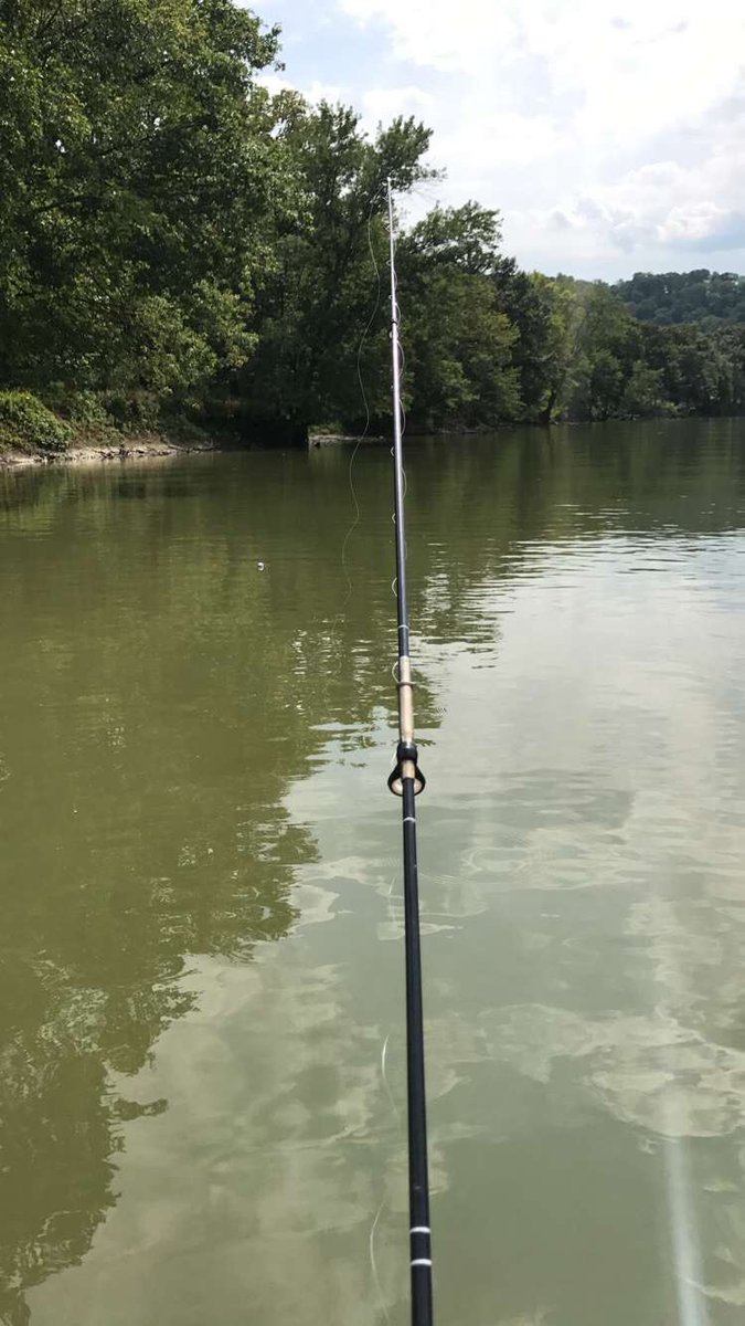 shelbykbaxter's tweet photo. Fun day on the river fishing with the first mate! #worms #notasinglebite https://t.co/SWrModIQQC