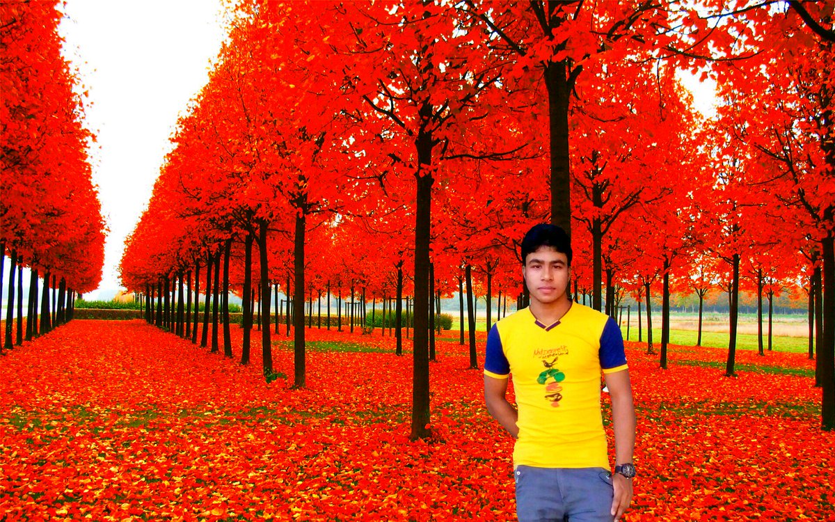 hi every body