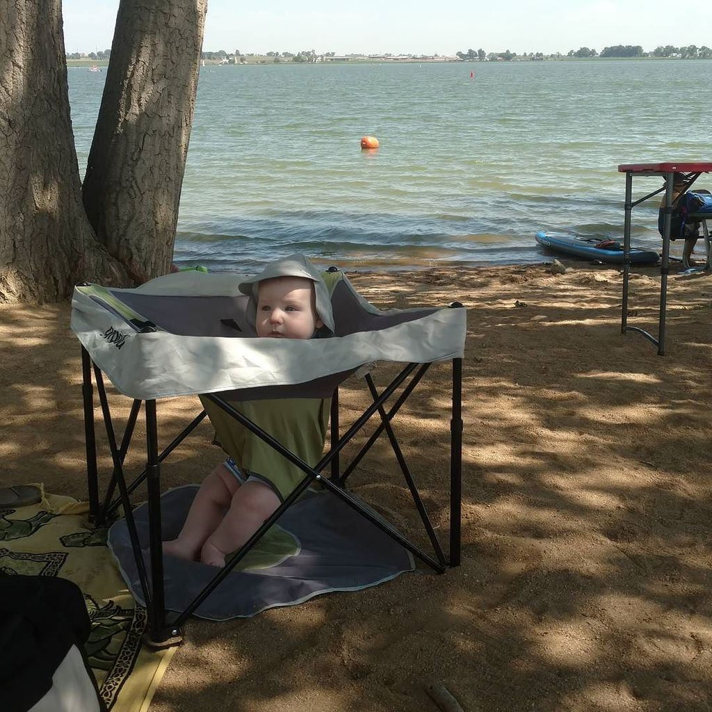 curiocious's tweet photo. Well, that's one way to lounge at the beach. #babyvortex https://t.co/5G8MfuWScQ https://t.co/G9Cbpc4OsD