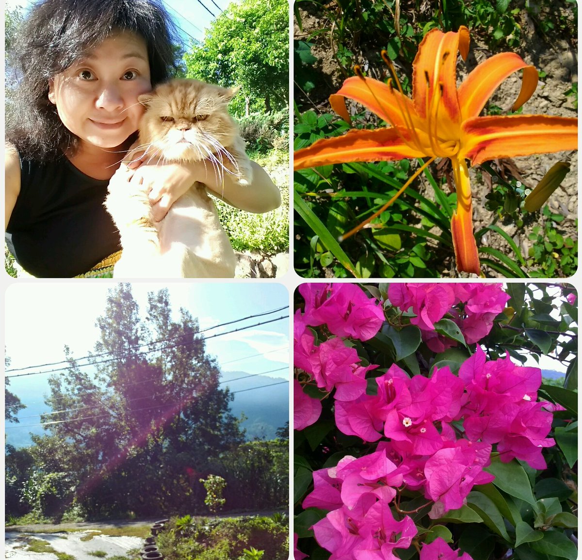 ( 美好想法) 周一愉快！親愛的朋友們！時間總會在不經意時一點點的流失！