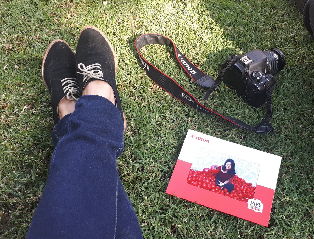 RegiinaLOoz's tweet photo. #canonzoominproject #lafotoesparatodos https://t.co/yaXEECmJ2d