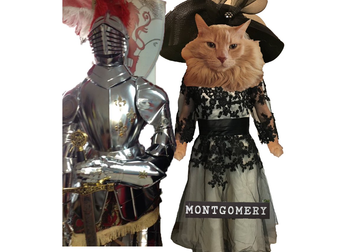 TeamBritches's tweet photo. @erinkrakow @LoriLoughlin @hallmarkchannel Hmmm a medieval knight. Reminds us of our favorite hearties camp character! #KnightHickam #CATMontgomery #CampHearties https://t.co/hvvGIFDwSS
