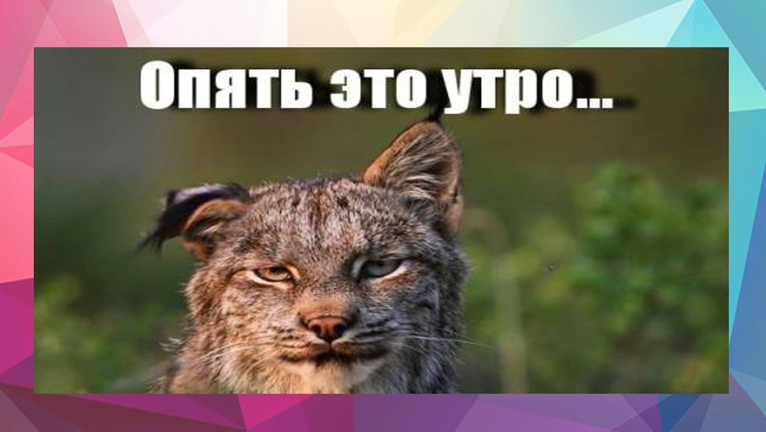 Опять эти ваши утра картинки прикольные