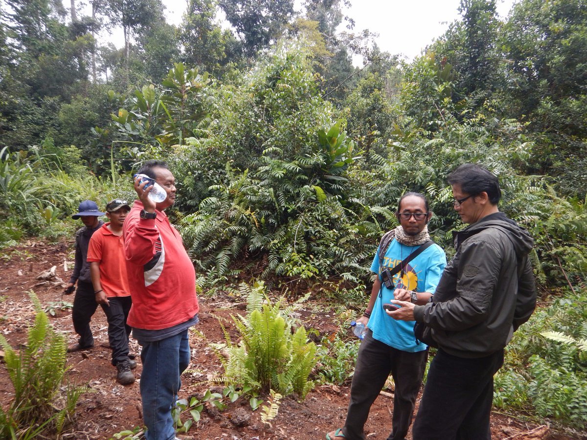 Verifikasi Teknis Hutan Desa Teluk Lanus | CC <a href="/jokowi/">Joko Widodo</a> @KementerianLHK <a href="/SitiNurbayaLHK/">Siti Nurbaya Bakar</a> <a href="/MuslimRasyid/">Muslim Rasyid</a> <a href="/herbertphy/">bert</a>