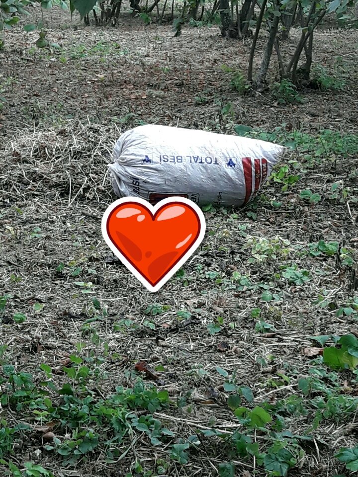 bundan iyi aşk mı olur ?