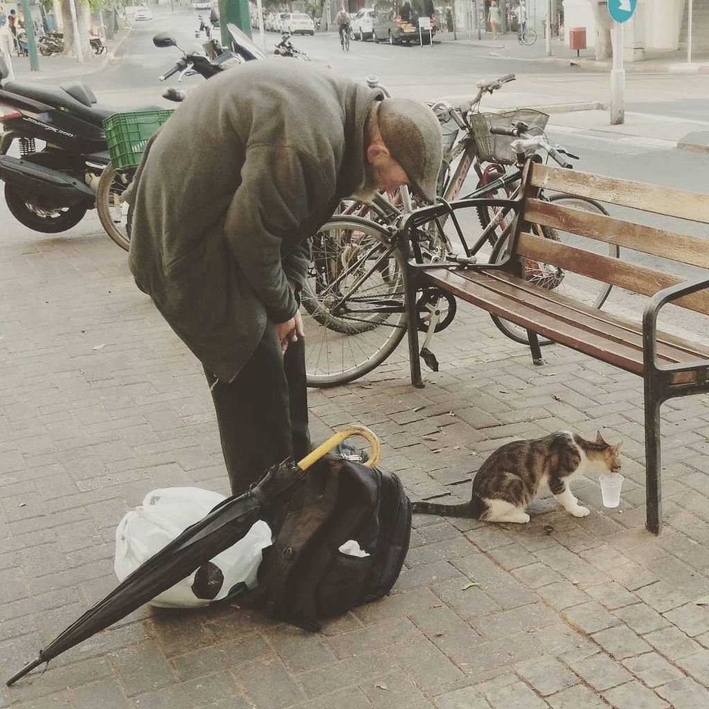 NoSeNadaV's tweet photo. #cat #cats #catstagram #catsofinstagram #old #elder #man #drink #water #street #bench #care #telaviv #tlv #ilovetl… https://t.co/amGRm0duoK https://t.co/dyuC88yljN
