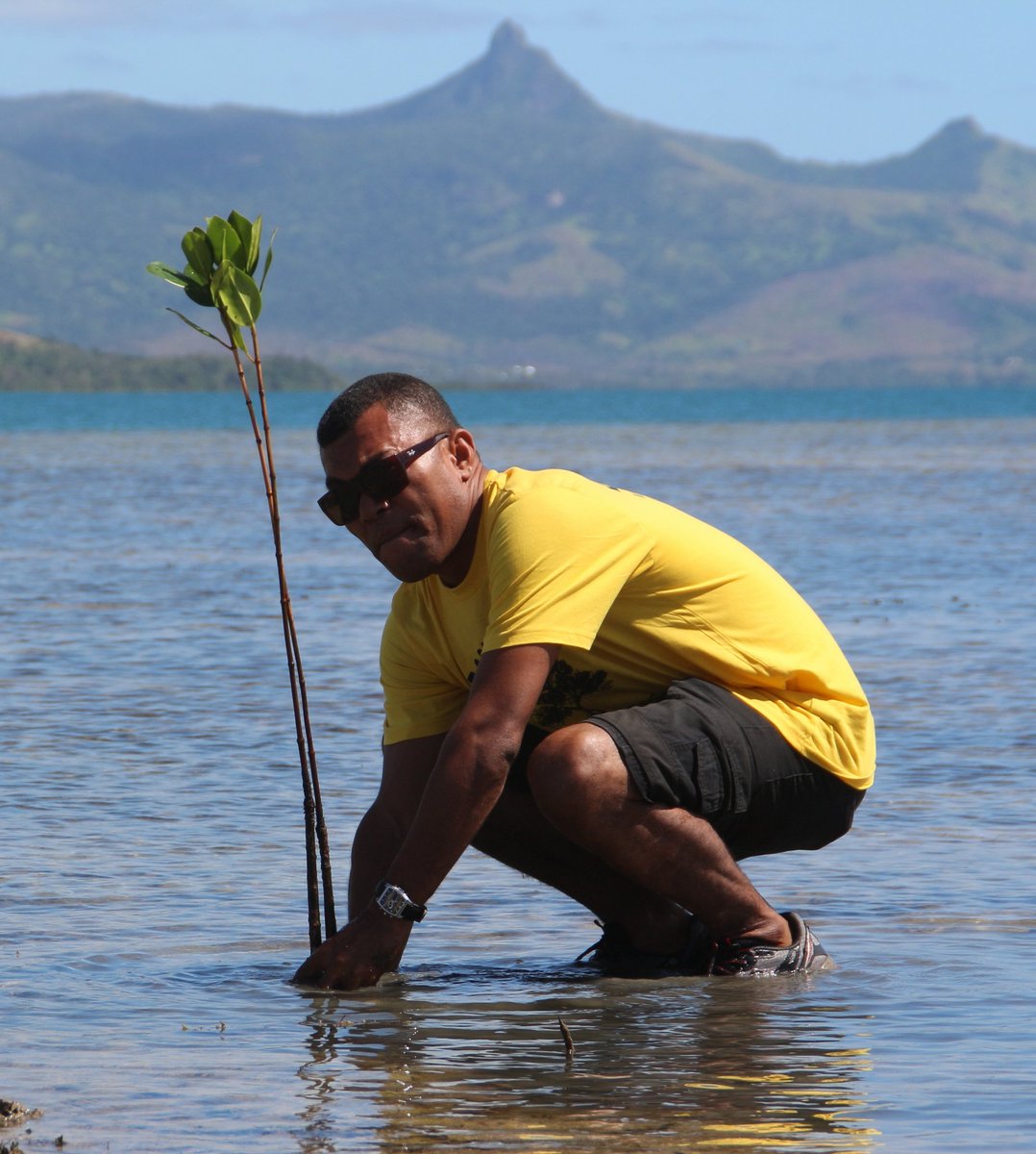 Loankadavu's tweet photo. Planting mangroves in front of #TovaPeak #Nukuvuto #Qoma #CSR https://t.co/Tv2odSjKGX