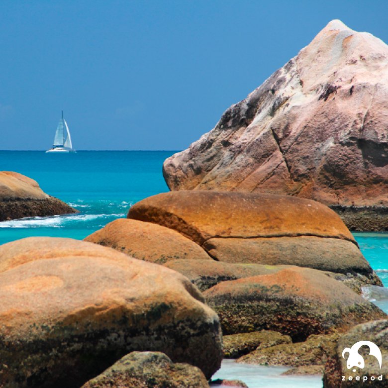 zeepodapp's tweet photo. Fascinating places that will surely leave you speechless. ||Seychelles||  ||Oslo,Norway|| ||Dubai|| ||Bora Bora|| #travel #travellers https://t.co/E4XWyiWtiM
