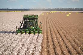 SpaceCowMLC's tweet photo. New Blog- Cotton Farming In Australia by Yr 6 at @MLC_school ---> https://t.co/kMTR9XBSHK #archie17 #aussieED #archiBull @archibull https://t.co/U4vNleI3pA