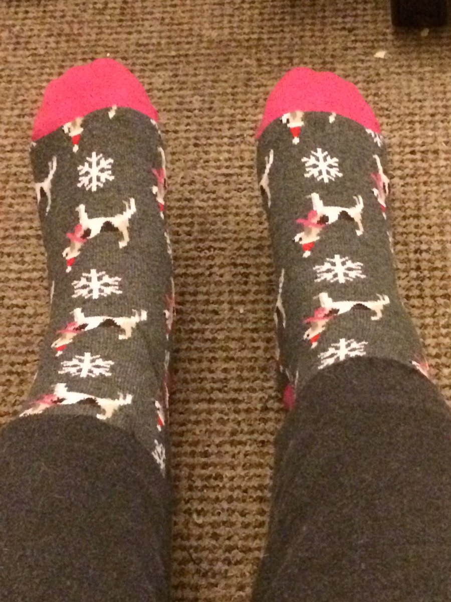 Sylindria's tweet photo. #Feet #BeagleSocks https://t.co/3DTWjl9n9k