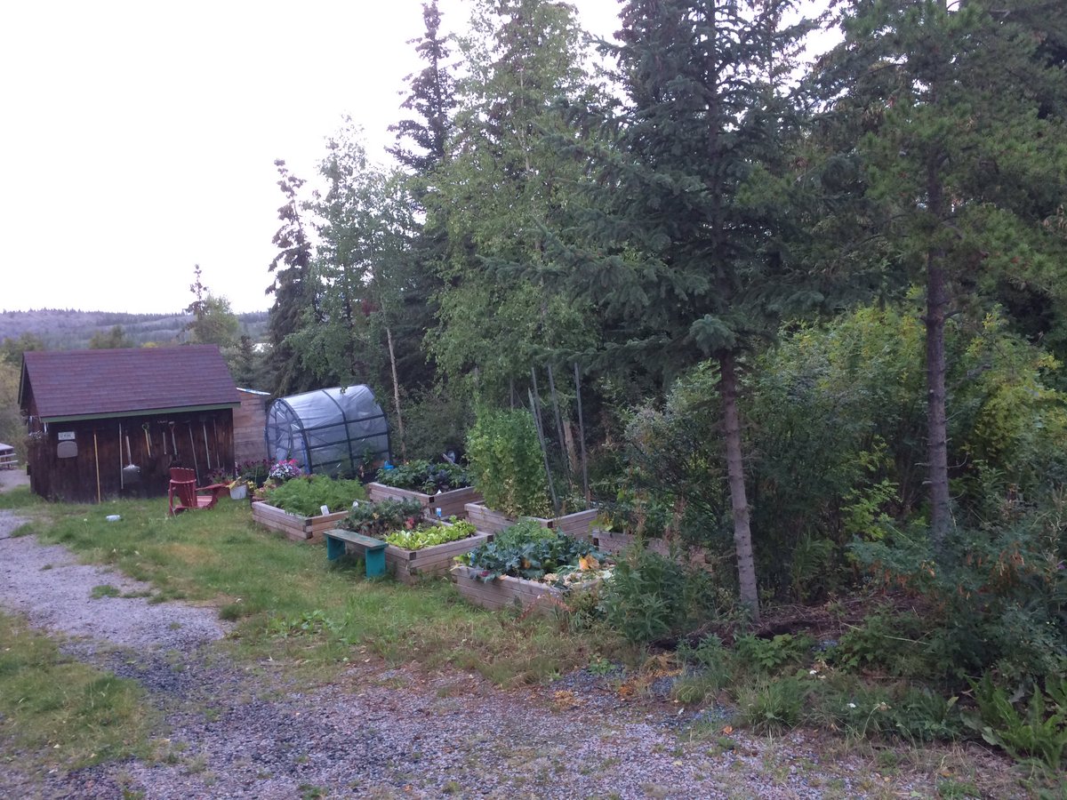 Inuk360's tweet photo. Bits from my evening walk with Squeesis β₯οΈ
#WalkWithInukAndSqueesis #walkwithinuk #yzfthroughmyeyes #yellowknifethroughmyeyes https://t.co/9ghwgns52v