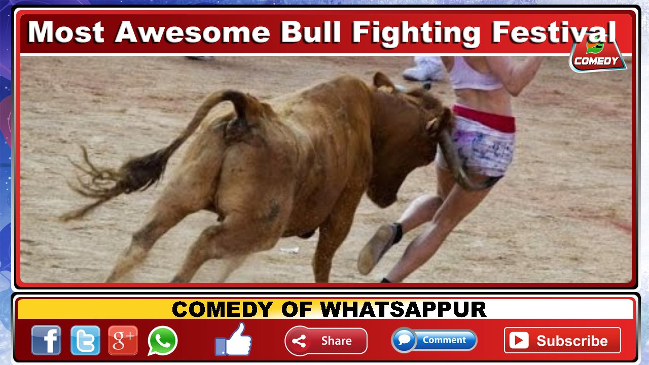 Bull funny online videos 2017