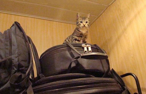 ЗА 5 ШАГОВ ДО ВЫЛЕТА. Советы тревел-менеджера. vk.com/club127330092?…