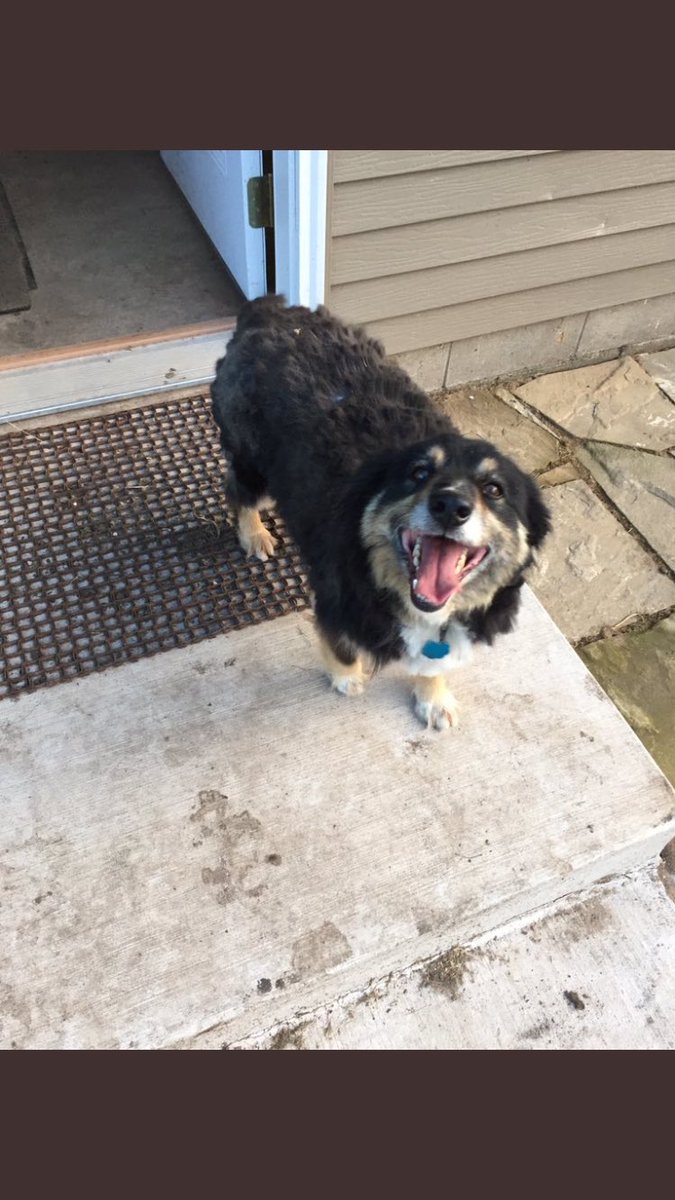 SDDogs1's tweet image. Derk, Brandon