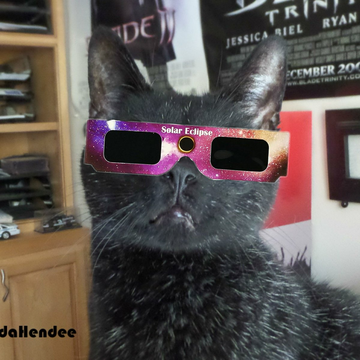 #NewProfilePic ready fur #SolarEclipse2017 how abouts yoos