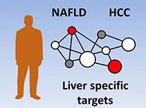 Network analyses identify liver disease drug targets #NAFLD #LiverCancer bit.ly/2vW5BwV <a href="/Mardinoglu/">Adil Mardinoglu</a> <a href="/scilifelab/">SciLifeLab</a> <a href="/uniofgothenburg/">Uni of Gothenburg</a>