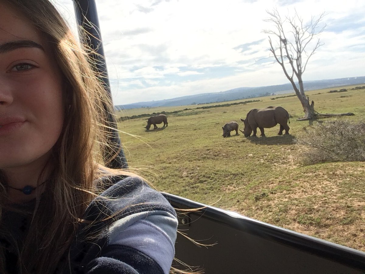 dannybagge's tweet photo. @ShamwariSafari rhino up close https://t.co/DWASGRhIFk