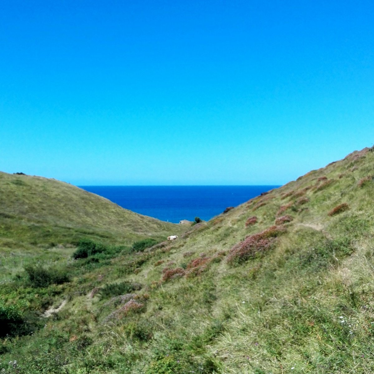 GarunaBorBor's tweet photo. Atzo #GR121 ibilbidean zehar hartutako argazki batzuk, Elorriagatik (#Deba) #Zumaia-raino #flysh https://t.co/6yDU74lhe0