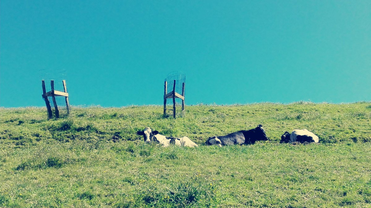 GarunaBorBor's tweet photo. Horrelako oharrak aurkitu genituen ere, laborarien lanarentzako eta ingurugiroarentzako errespetua eskatuz #GR121 #Deba #Zumaia https://t.co/2InVfIw93S