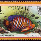 Waldwick NJ tweet media