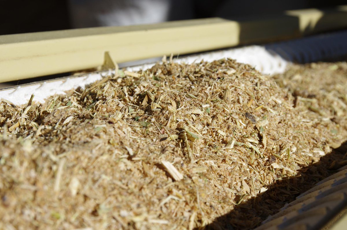 dasnamibia's tweet photo. When you produce your own animal feed with bush, pelletising it will make it durable and allow you to store it #biomassproducts #dasnamibia https://t.co/L55r6qXevk