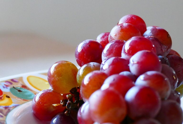 #Uvas de mesa, pasas y de #vino ¿en qué se diferencian? goo.gl/zYfv0T by <a href="/vinopack/">vinopack</a>