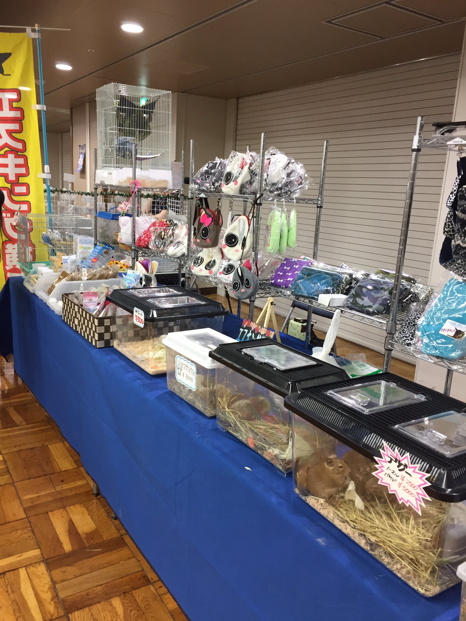 Animal Family Coco 8月日はアクアリウムバスにエスキング横浜さんのお手伝いで行ってきました 今回はスペースをお借りして私が作ったモモンガとデグー用ハンモックも販売させて貰いました 購入して下さった方 また声を掛けてくれた方 ありがとうご