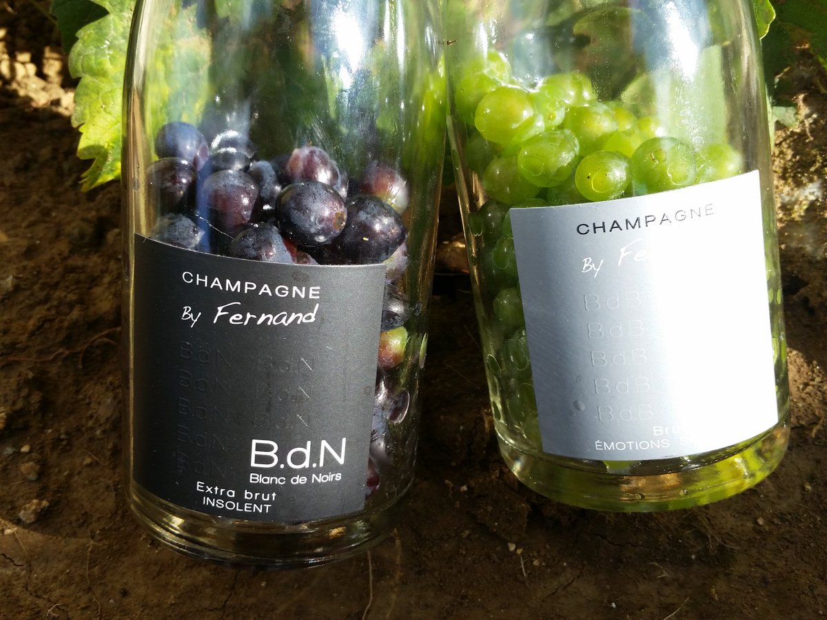 by_fernand's tweet photo. #harvest17  #champagne #champagnebyfernand https://t.co/bh4gUtd0CM