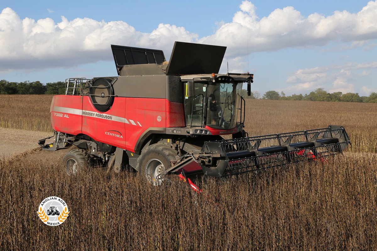 anglianagmedia's tweet photo. A @MF_EAME #Centora 7382 AL #combine in #Fuego spring #beans from the best-selling #FSOF DVDs. Order your set here: https://t.co/JXySS2zSkp https://t.co/9jfCqdXDT5