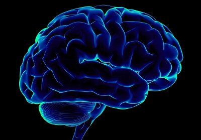 BrainInjuryHub's tweet photo. Scientists identify new way to diagnose if someone has suffered a brain injury https://t.co/TFkjLagzSU @Neuroscience_Dr @InflamAge_UoB https://t.co/pifJMjMlVP