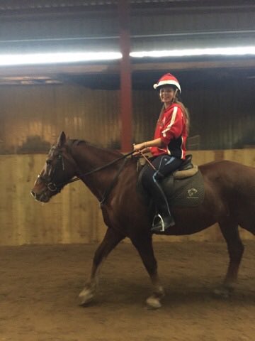 MEET THE COMMITTEE.                 HEALTH AND SAFTEY OFFICER: Rosie Ede