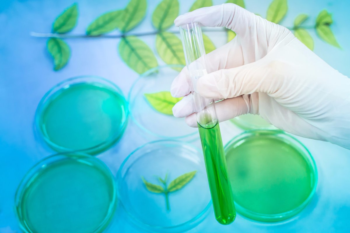JohnInnesCentre's tweet photo. VACANCY - Another Post Doctoral Researcher vacancy is available, this time in the lab of Prof Steve Penfield - https://t.co/RdYLLd8PCx https://t.co/sjGaNOgWTf