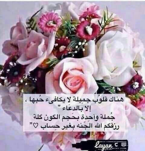 1386Iollo tweet picture