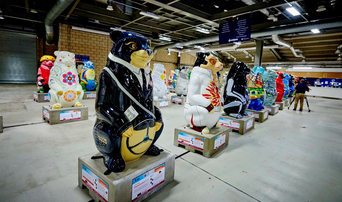 IndiaBearBWH's tweet photo. There's just four weeks left of @TheBigSleuth trail! Have you been to see me and my bear friends yet? #TheBigSleuth https://t.co/83RZXXeA3U