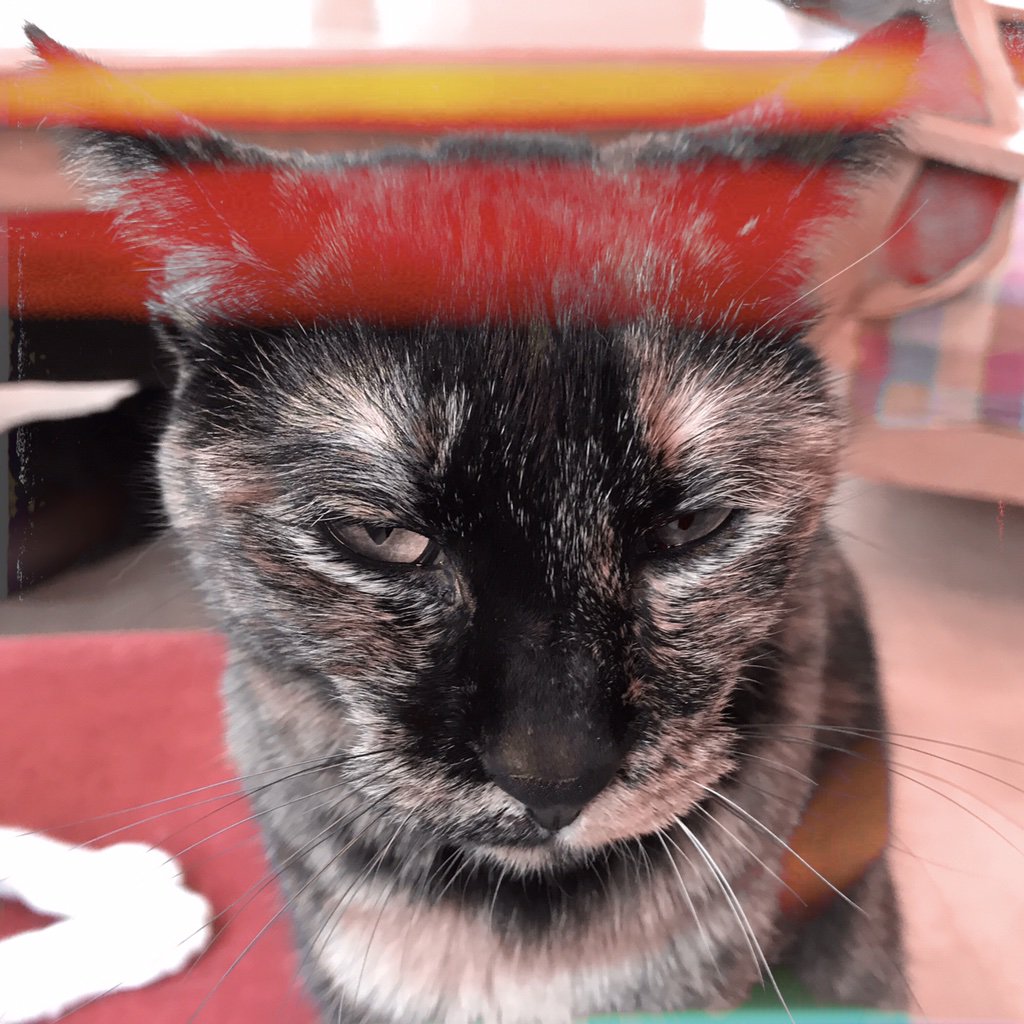 obi_wan_eclipse's tweet image. Did I do something bad? #猫式 #AuroraNCL #Reeta  #Hipstamatic