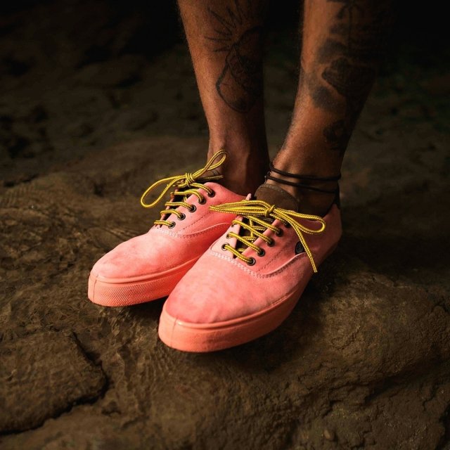 Fire into the rain.
Go Eco-warriros. 
#flamingoslife #Govegan #nomatamosanimales #eco #crueltyfree