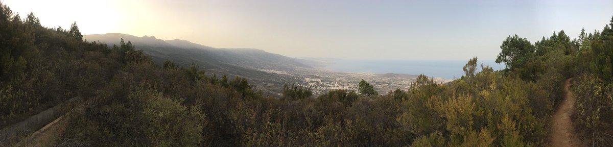 John Daniel Dye tweet media