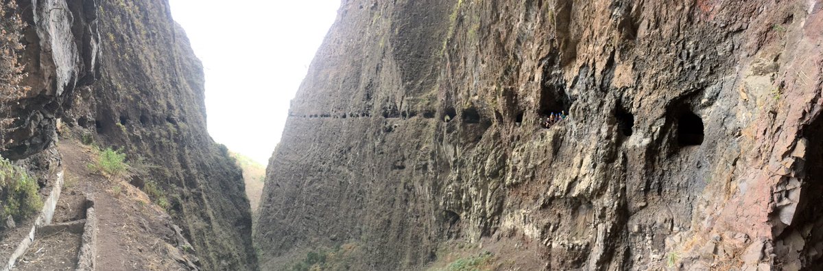 John Daniel Dye tweet media