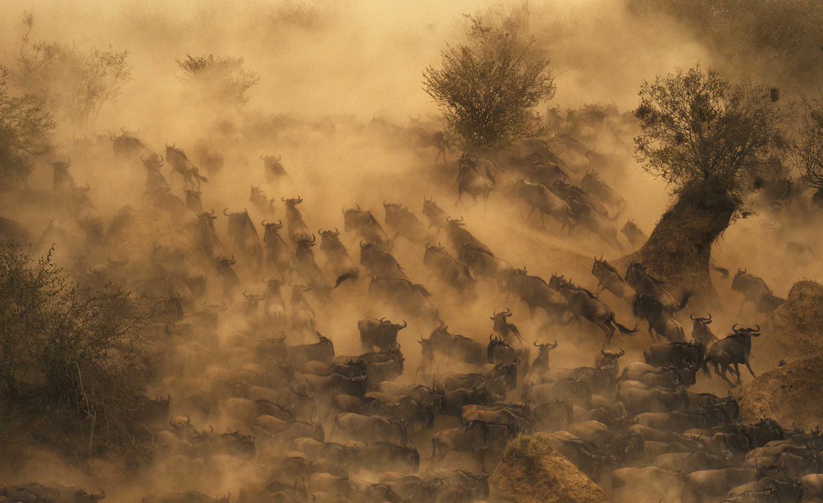 TelegraphTravel's tweet photo. These are the 10 most photographic places on Earth! The question is, which ones have you been to? https://t.co/6Q0CqaBRo1 #travelphotos https://t.co/891WQ7QKql
