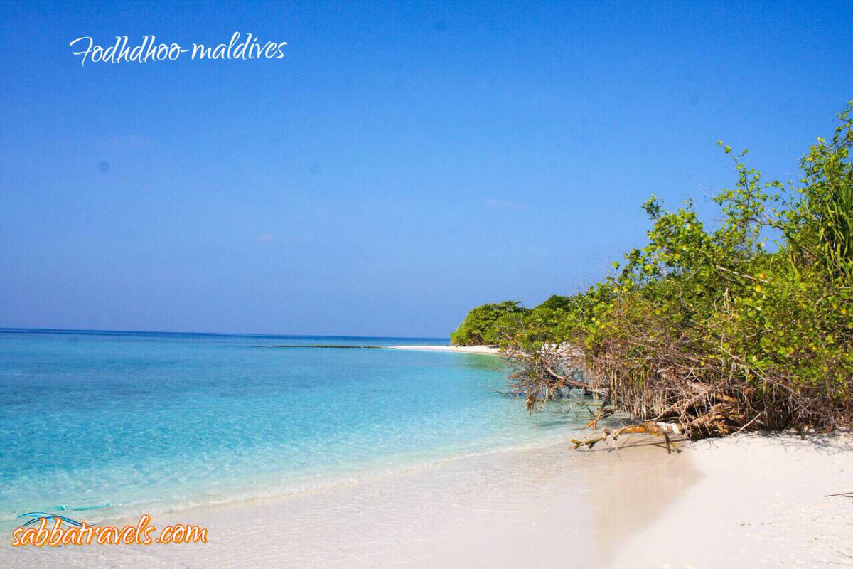 sabbatravels's tweet image. Taste of paradise 🌴 🐠 ⛵ 
📷 lot graphics  #fodhdhoo #sabba #Maldives #MaldivesInsider  #sabbasummersuite #sunnyside sabbatravels.com