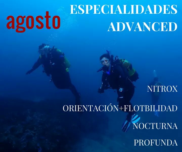 VanasDive's tweet photo. Sube de nivel!! Especialidades en Agosto💪 #vanasdive #buceo #Barcelona https://t.co/hlPxddcY1W