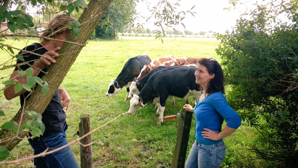 Partij voor de Dieren tweet media