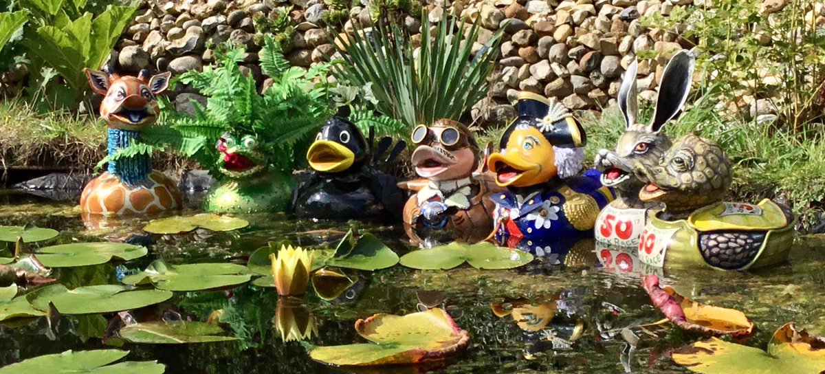 SallyAdamsCreative tweet media