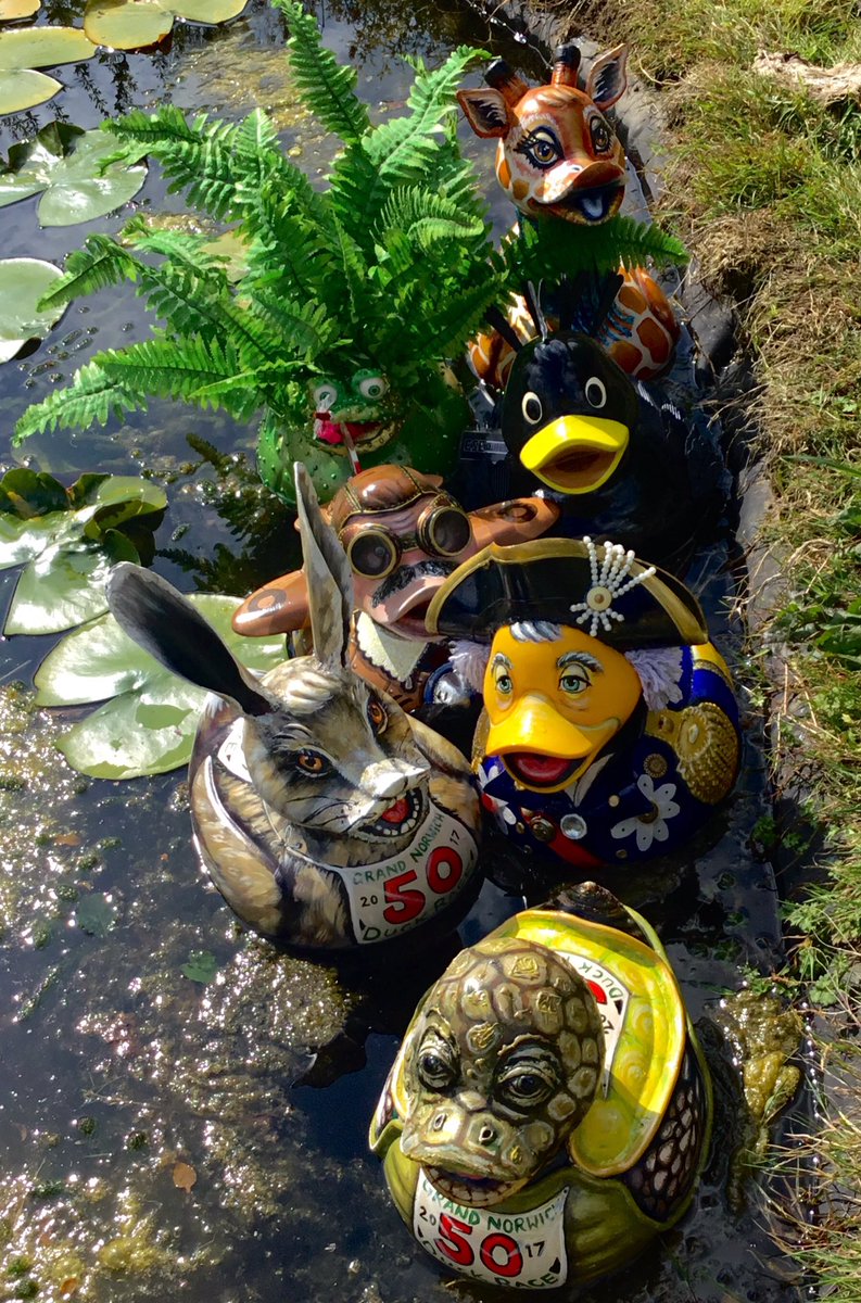 SallyAdamsCreative tweet media