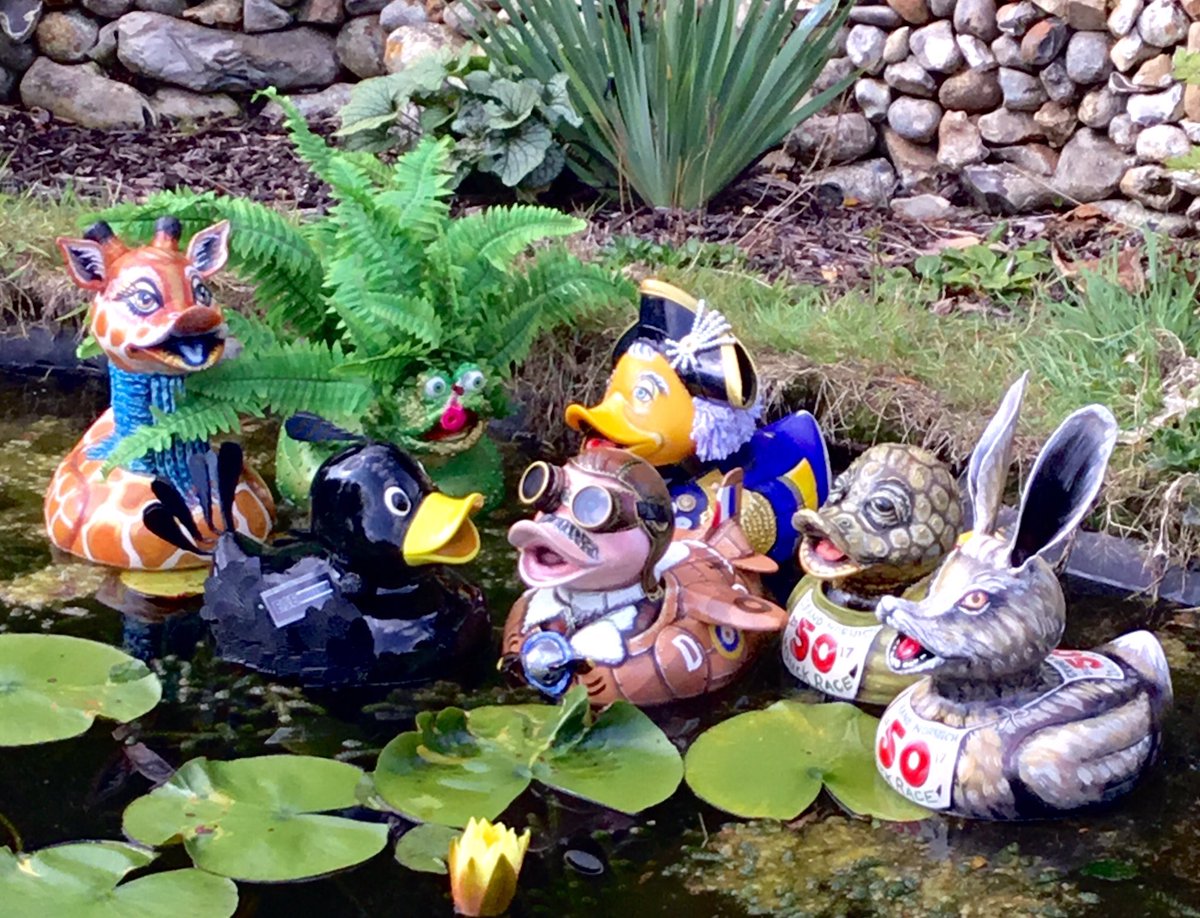 SallyAdamsCreative tweet media