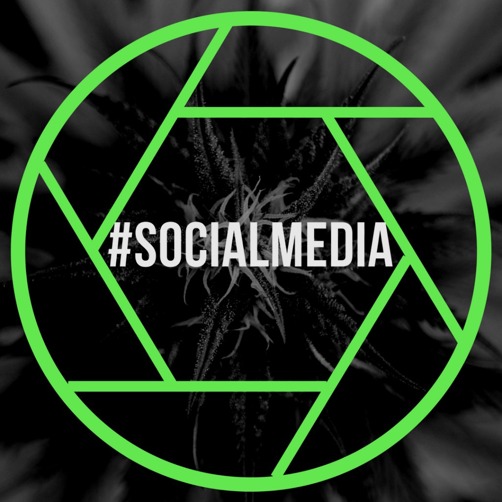 LosAngeles_420's tweet photo. Do you want to expand your social media base? Are you a #420 entity looking for promotion? Message us for promotions!

#delivery #highcult https://t.co/NKS97gTEI5